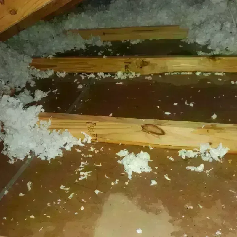 Attic Water Damage in Orangeville, UT